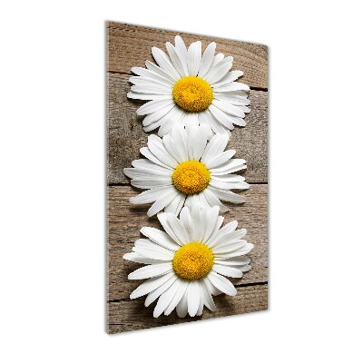 Wall art on glass Chamomile on wood