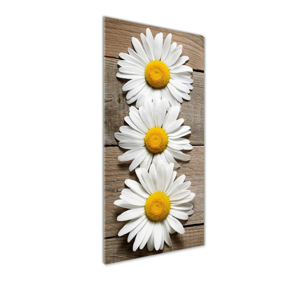 Wall art on glass Chamomile on wood