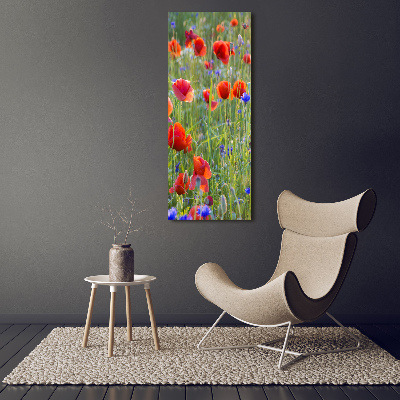 Wall art on glass Field poppies