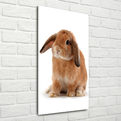 Printed glass wall art Rabbit