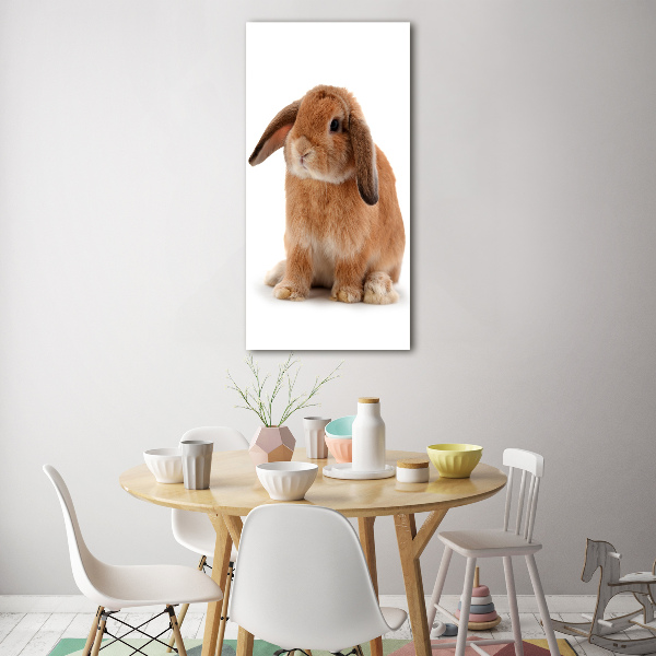 Printed glass wall art Rabbit