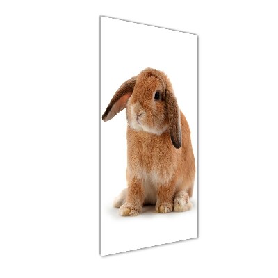 Printed glass wall art Rabbit