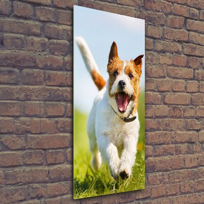 Printed glass wall art Jack Russell dog