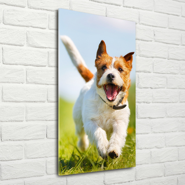 Printed glass wall art Jack Russell dog