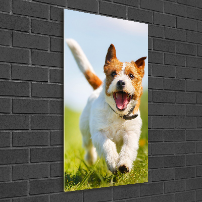 Printed glass wall art Jack Russell dog