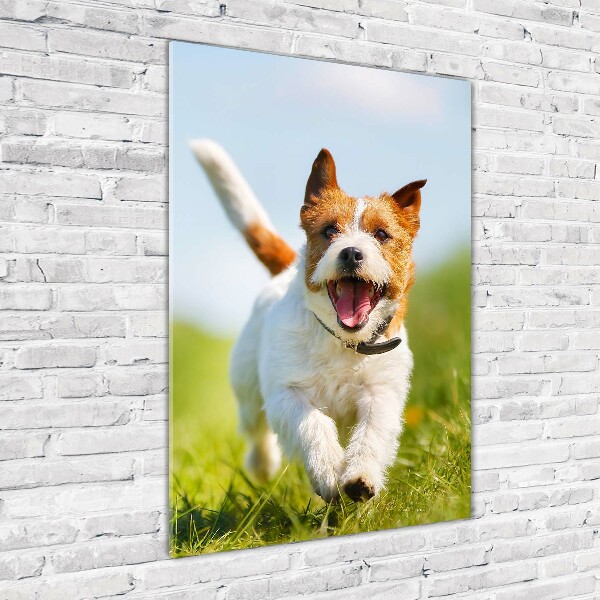 Printed glass wall art Jack Russell dog