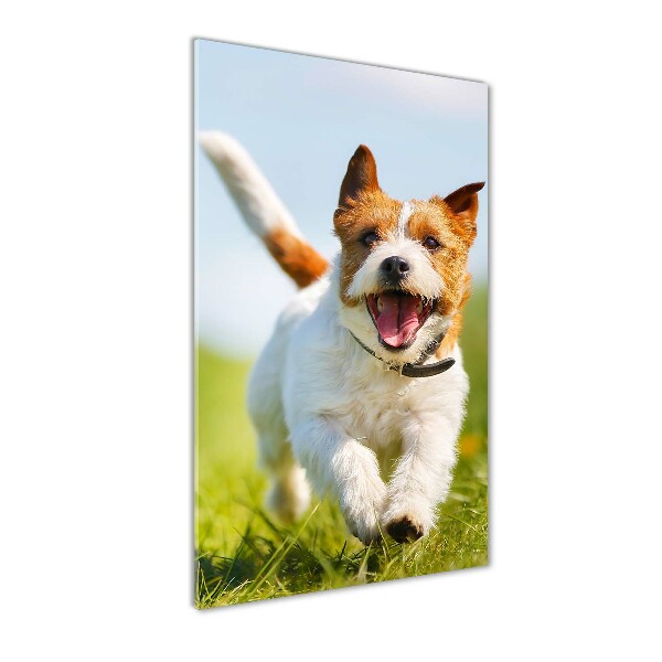 Printed glass wall art Jack Russell dog