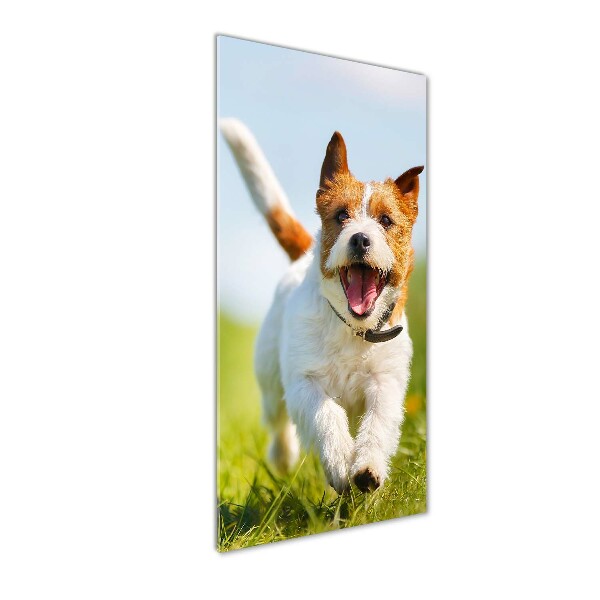 Printed glass wall art Jack Russell dog