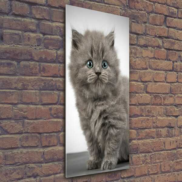 Printed glass wall art Gray British cat