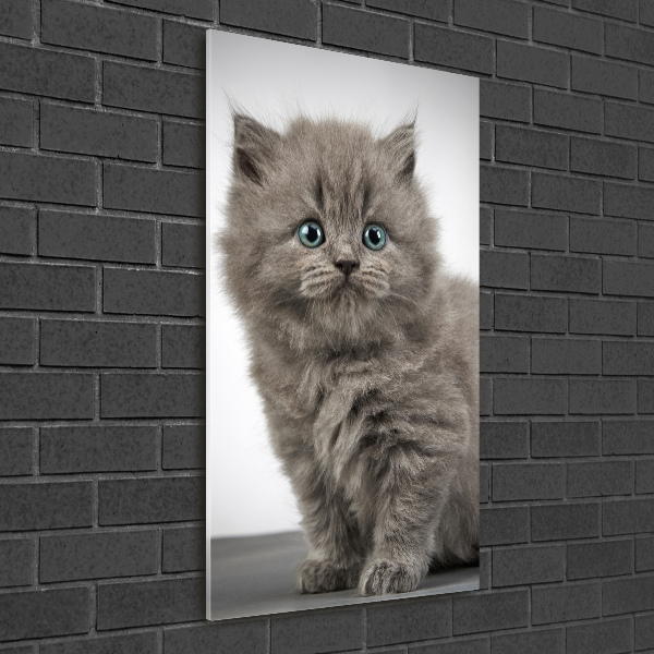 Printed glass wall art Gray British cat