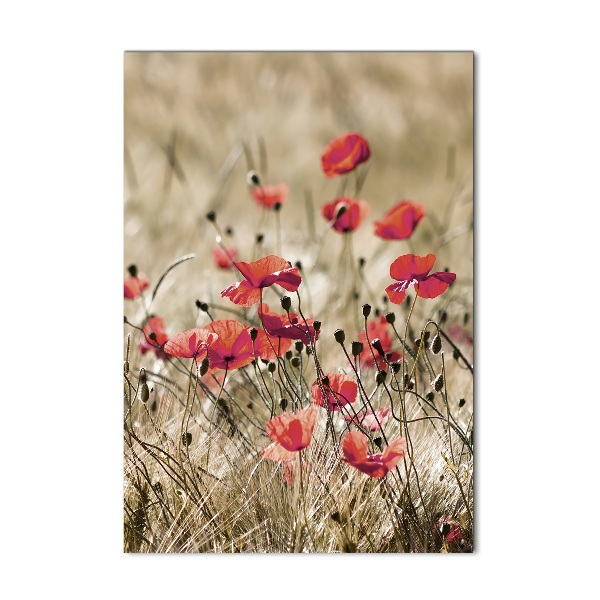 Print on a a glass Field flowers