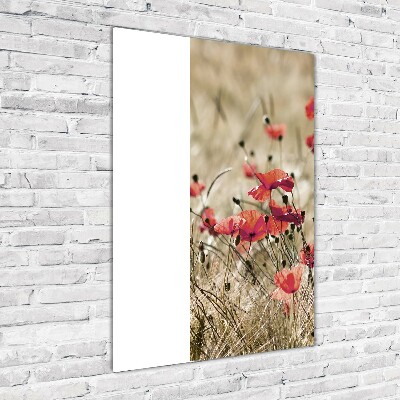 Print on a a glass Field flowers