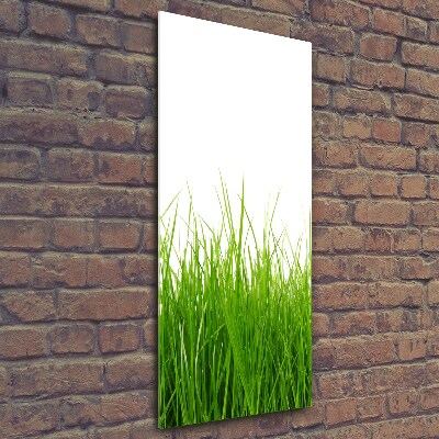 Glass wall art green grass