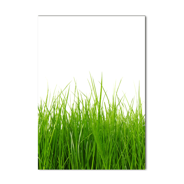 Glass wall art green grass