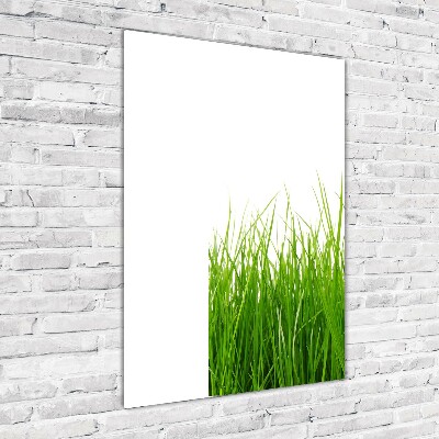 Glass wall art green grass