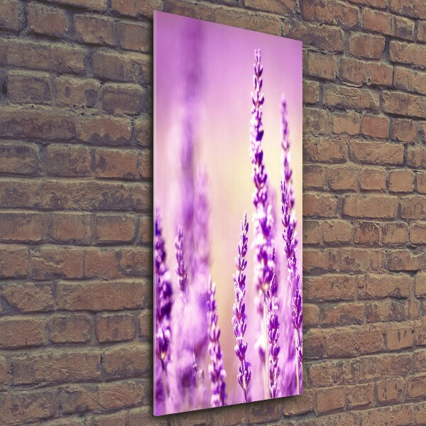 Glass wall art Lavender