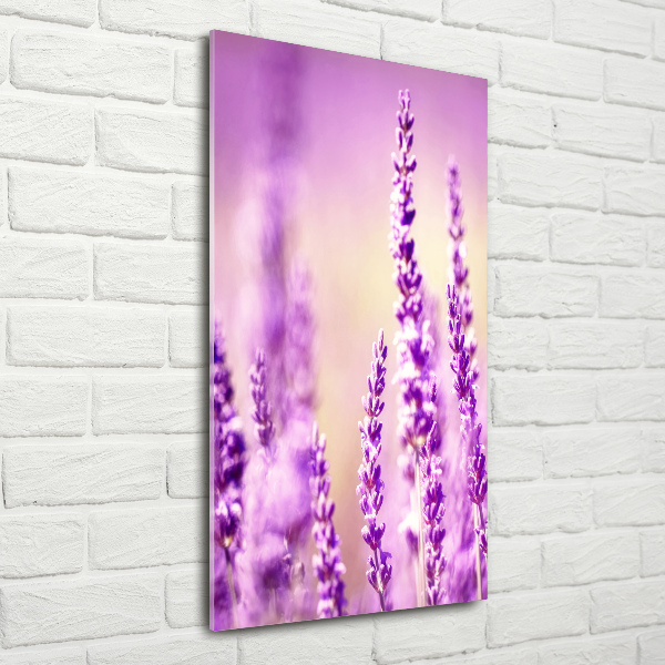 Glass wall art Lavender