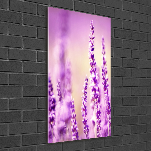 Glass wall art Lavender