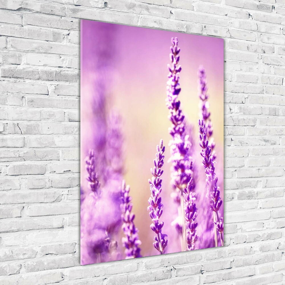 Glass wall art Lavender