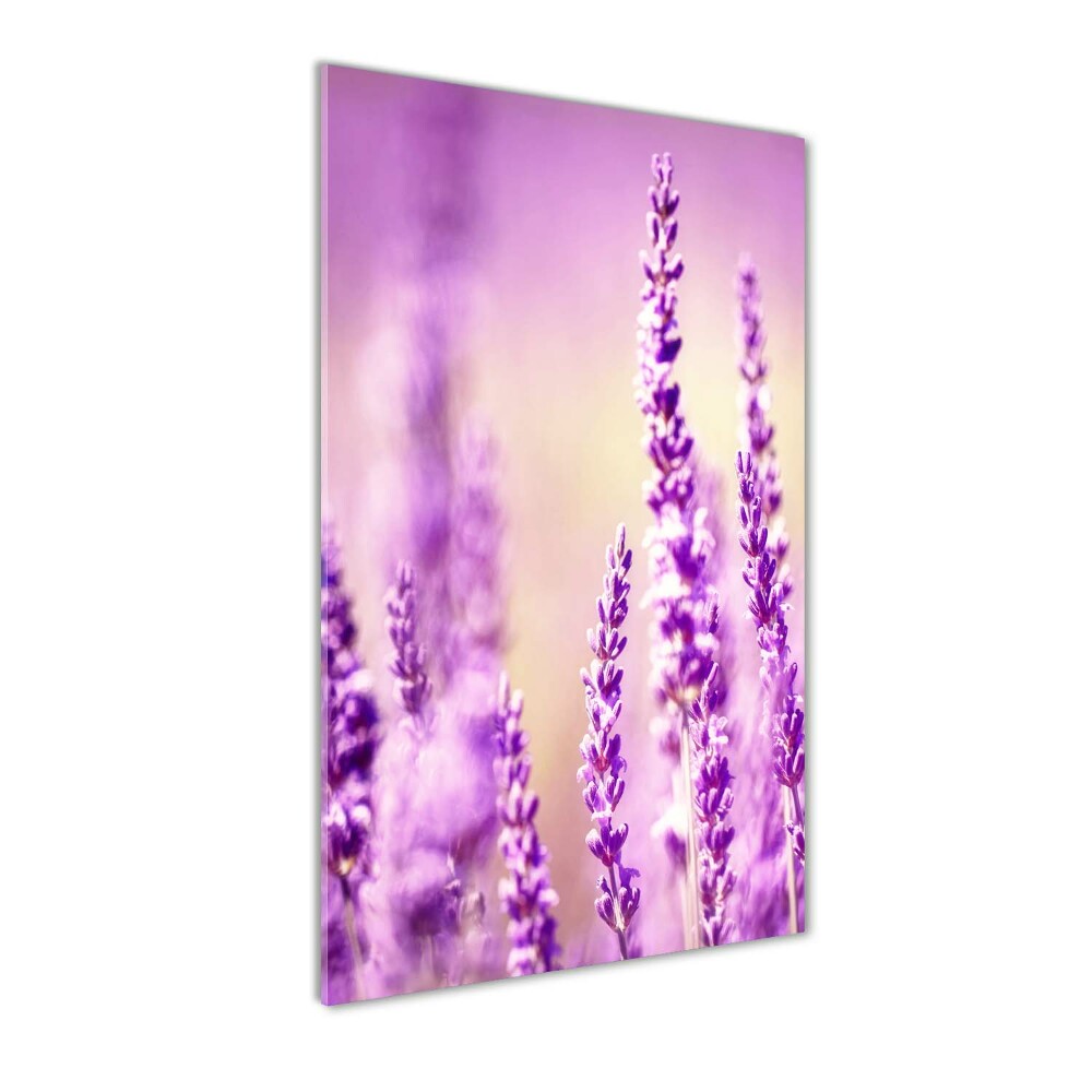 Glass wall art Lavender