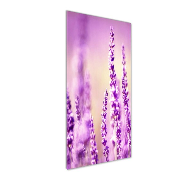 Glass wall art Lavender