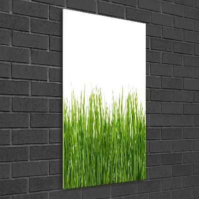 Wall art on glass green grass