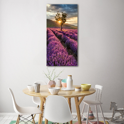 Print on a a glass Lavender field