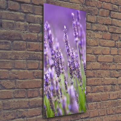 Wall art on glass Lavender field