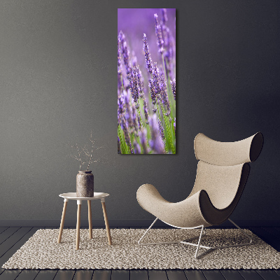 Wall art on glass Lavender field