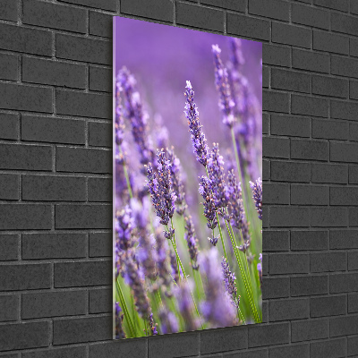 Wall art on glass Lavender field