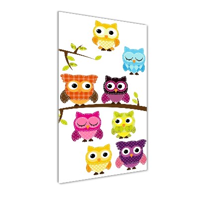 Print on a a glass Colorful owls