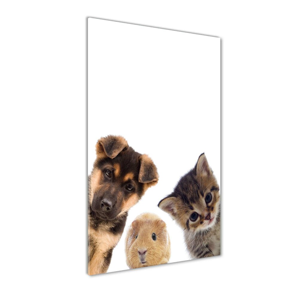 Photo printed on glass Pets