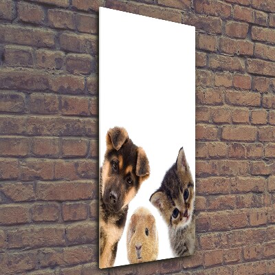 Photo printed on glass Pets