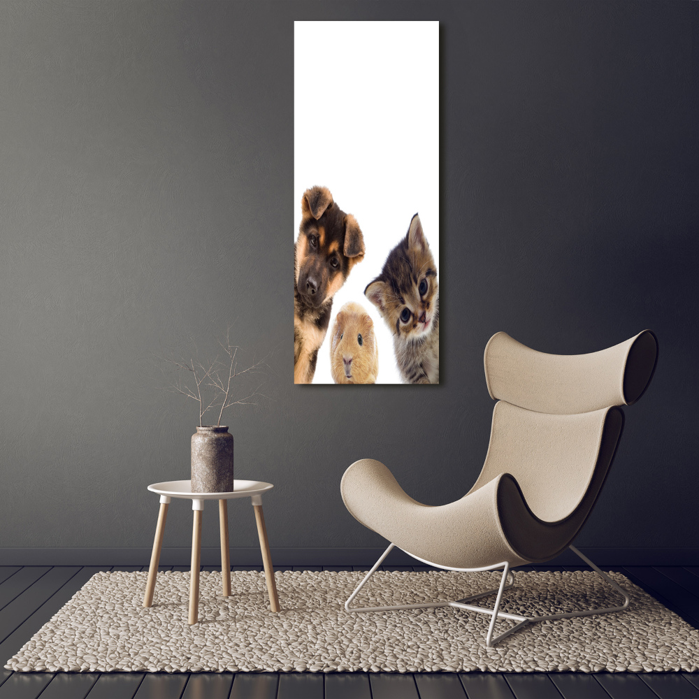 Photo printed on glass Pets