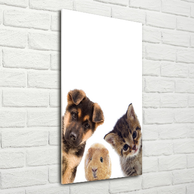 Photo printed on glass Pets