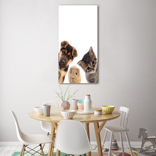 Photo printed on glass Pets