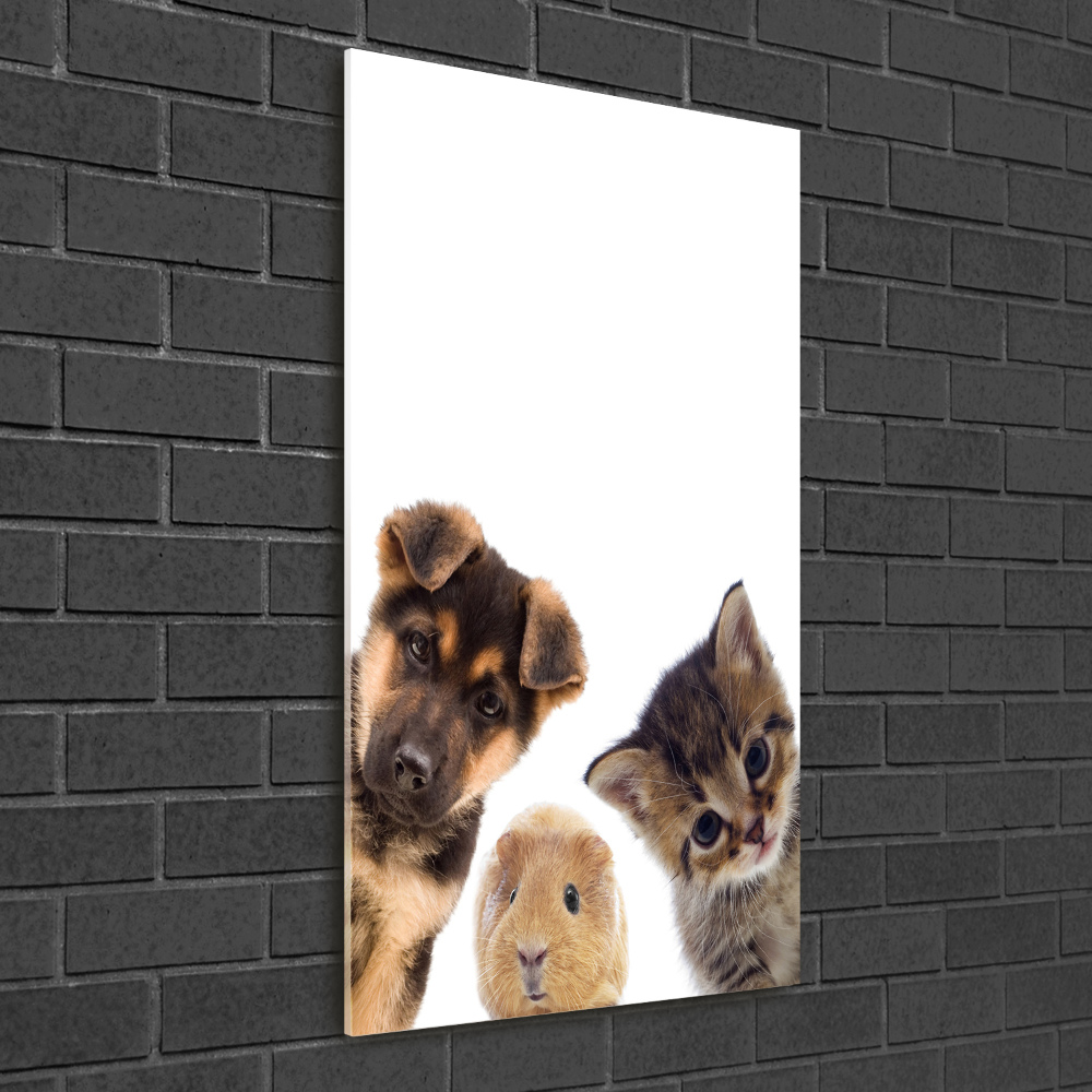 Photo printed on glass Pets