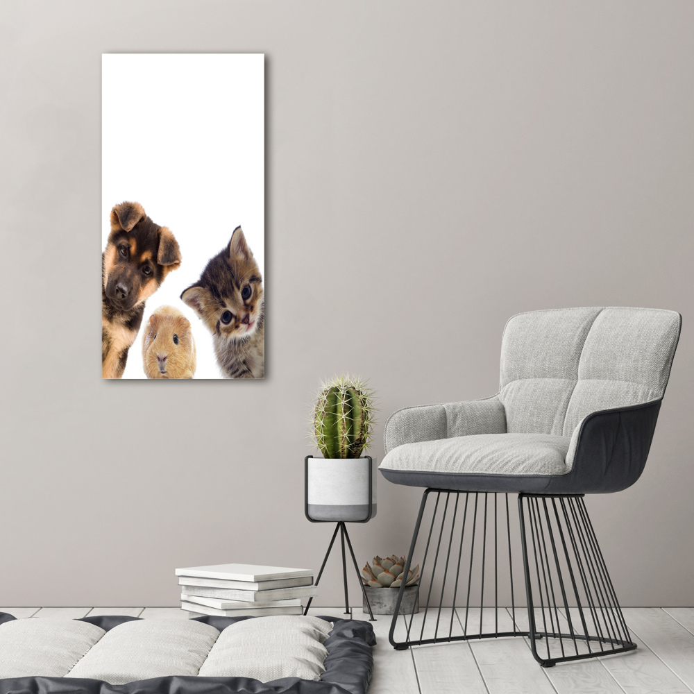 Photo printed on glass Pets