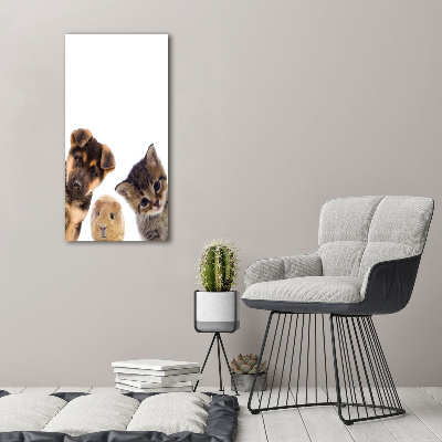 Photo printed on glass Pets