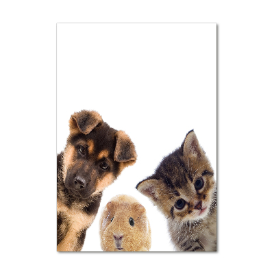 Photo printed on glass Pets