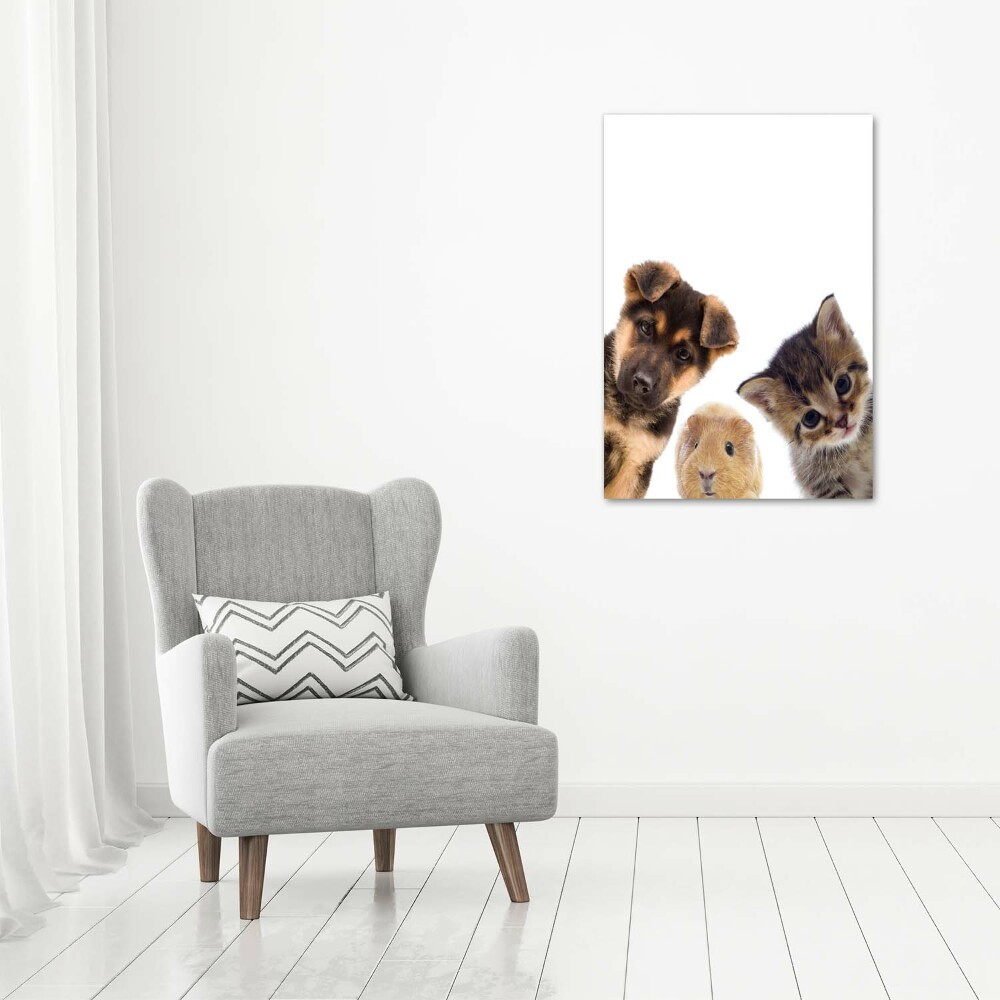 Photo printed on glass Pets