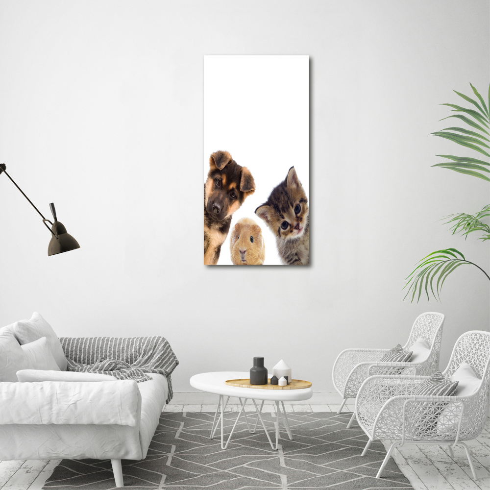 Photo printed on glass Pets