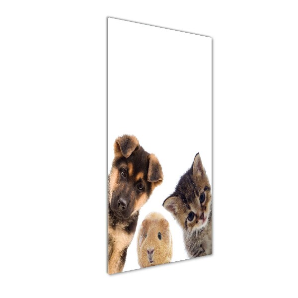 Photo printed on glass Pets