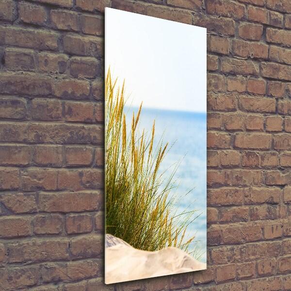 Wall art on glass Coastal dunes