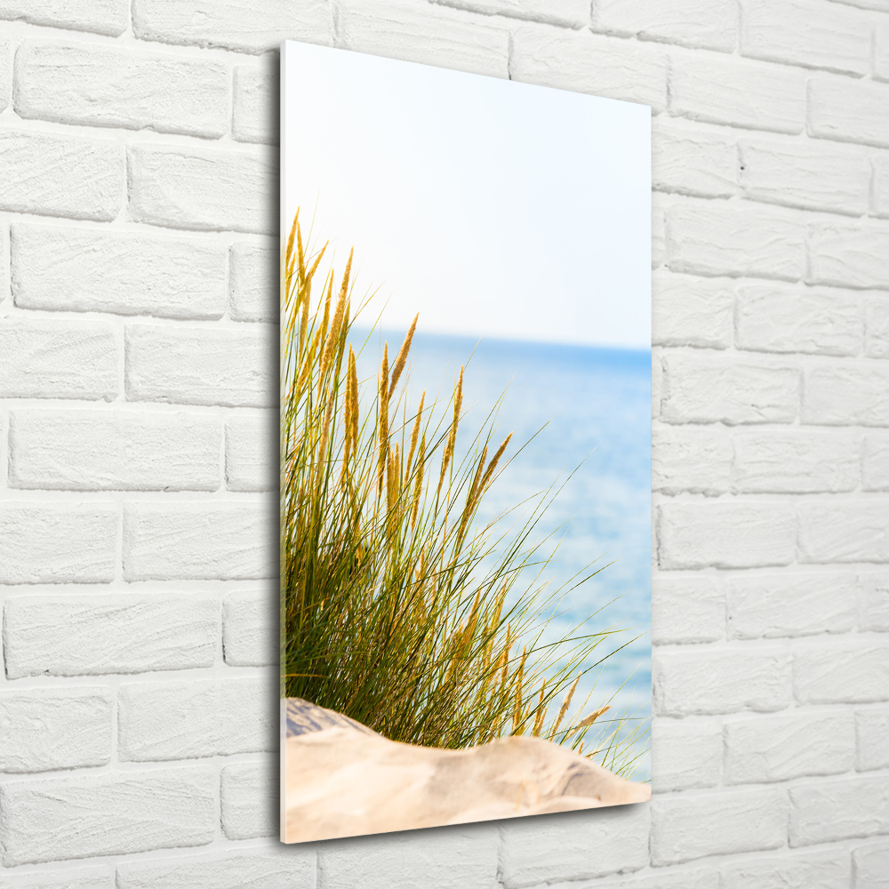 Wall art on glass Coastal dunes