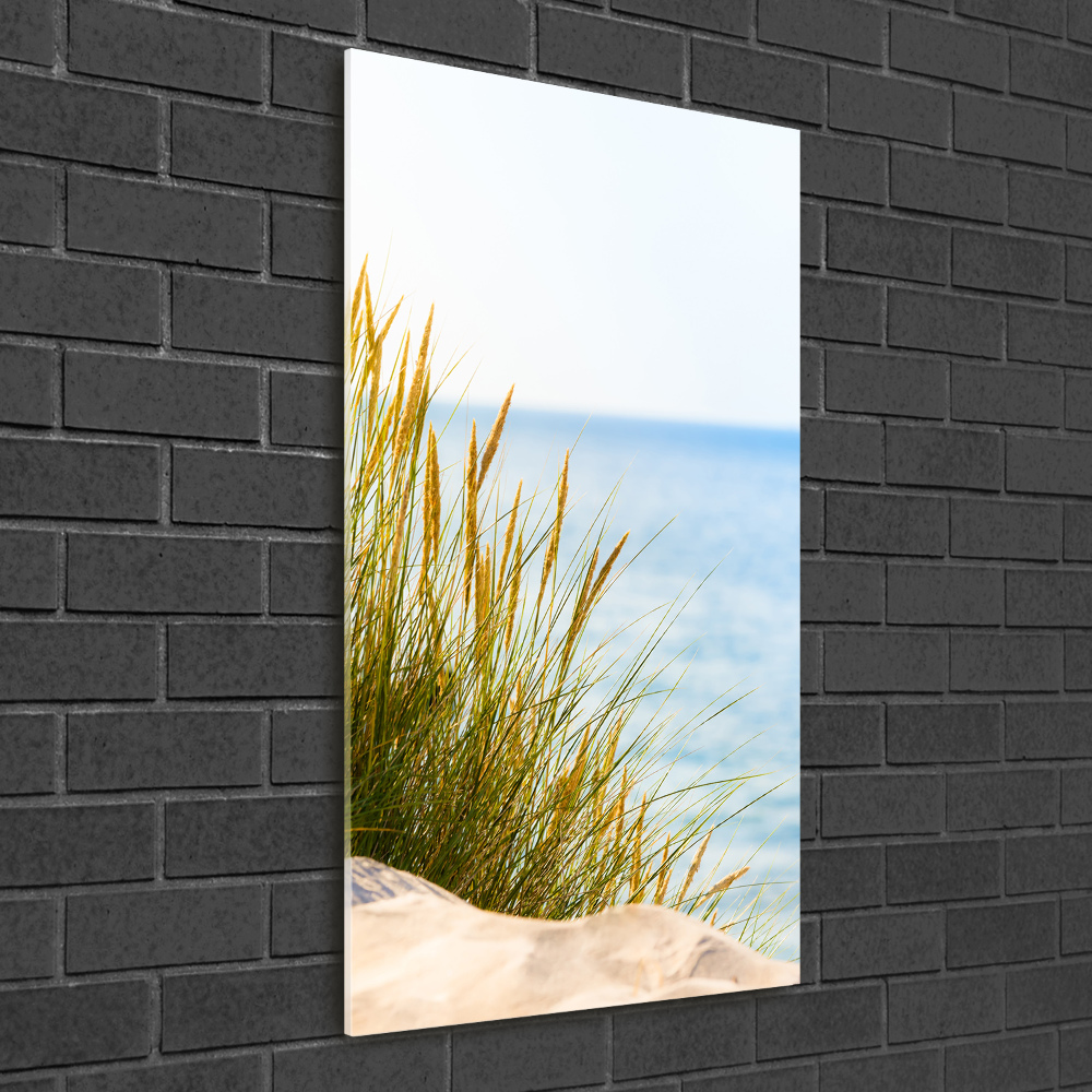 Wall art on glass Coastal dunes