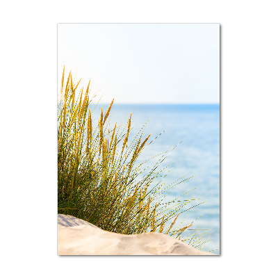 Wall art on glass Coastal dunes