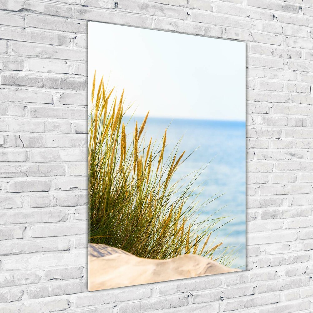 Wall art on glass Coastal dunes