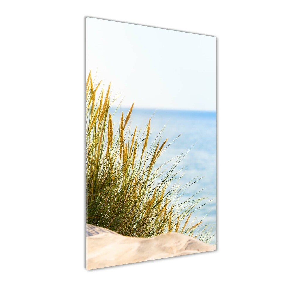 Wall art on glass Coastal dunes