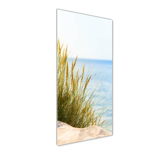 Wall art on glass Coastal dunes